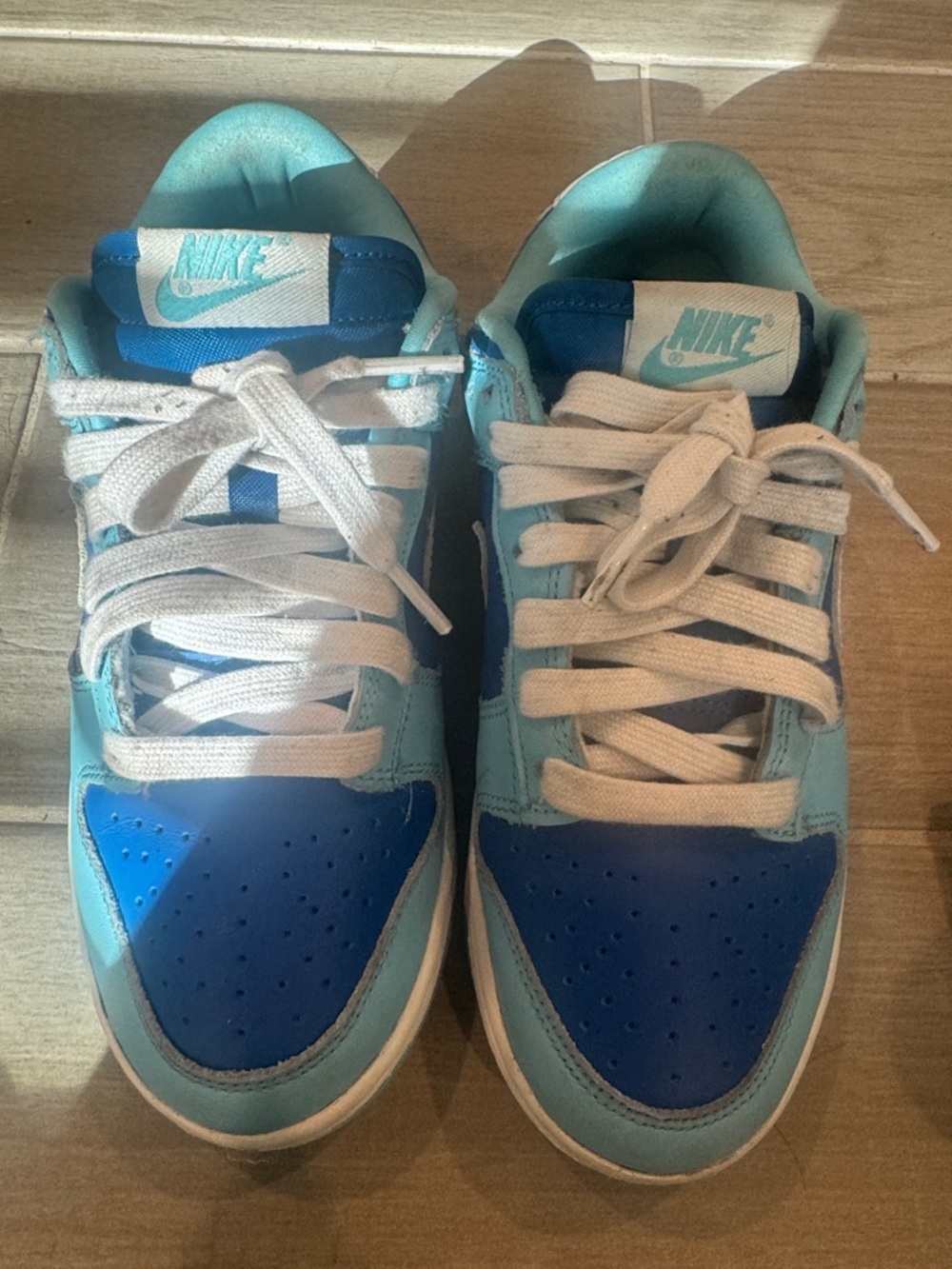 Nike Kids Dunk low Top Sneakers in Light Blue & Royal Blue